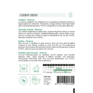 Horti Tops Andijvie Nuance - afbeelding 2