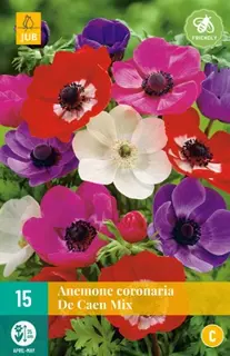 JUB Holland Anemone cor. De Caen Mix - 15 st.