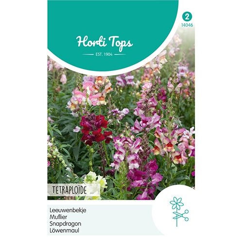 Horti Tops Antirrhinum, Leeuwenbekje Tetraploide gemengd - afbeelding 1