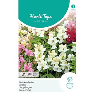 Horti Tops Antirrhinum, Leeuwenbekje Tom Thumb gemengd