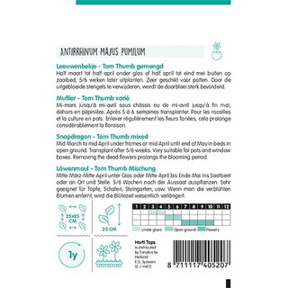 Horti Tops Antirrhinum, Leeuwenbekje Tom Thumb gemengd - afbeelding 2