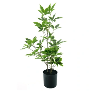 Kunstplant Aralia Tree in Pot Crème/Groen - 60 cm
