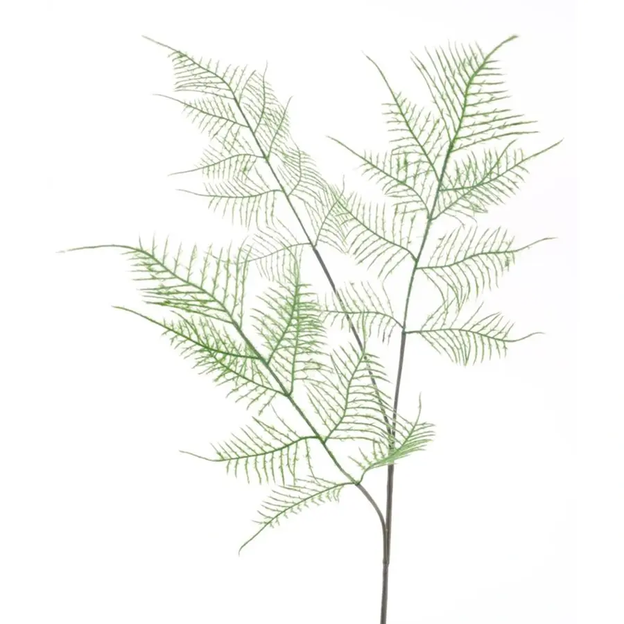 Kunsttak Asparagus Green - 80 cm