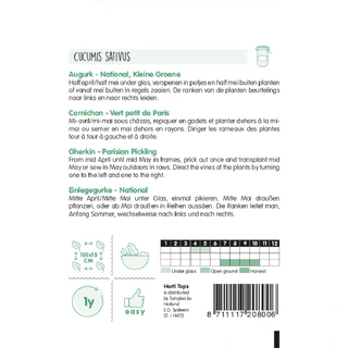 Horti Tops Augurken National - Kleine Groene - afbeelding 2