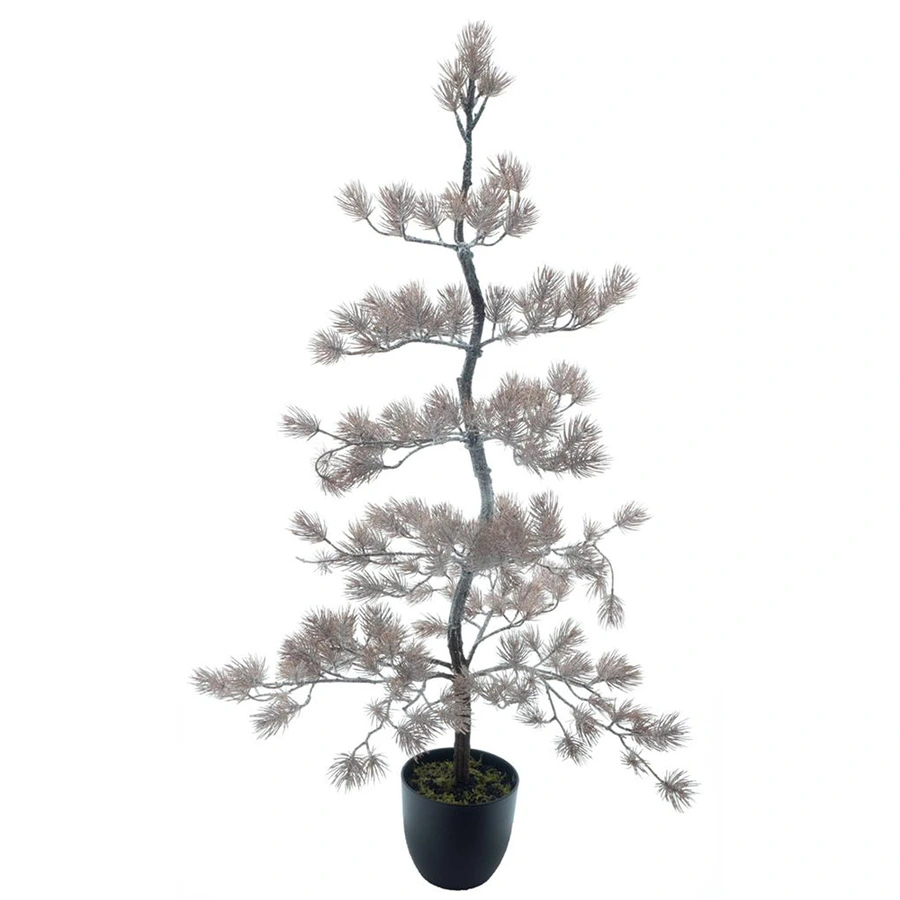Austrian Pine Tree In Pot Iced - 137 cm