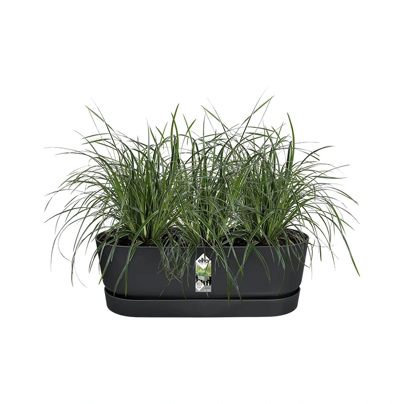 Elho Greenville Easy Balkon 52 cm - Living Black - afbeelding 2