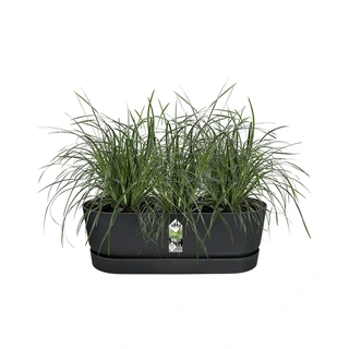 Elho Greenville Easy Balkon 52 cm - Living Black - afbeelding 2