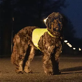 Beeztees Safety Gear Ava Veiligheid Hondenvest - M - afbeelding 3