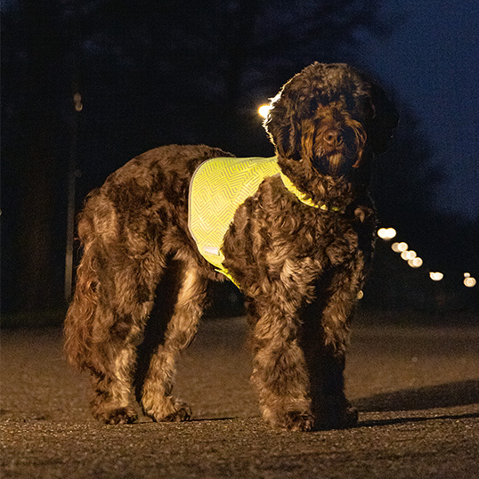 Beeztees Safety Gear Ava Veiligheid Hondenvest - S - afbeelding 3