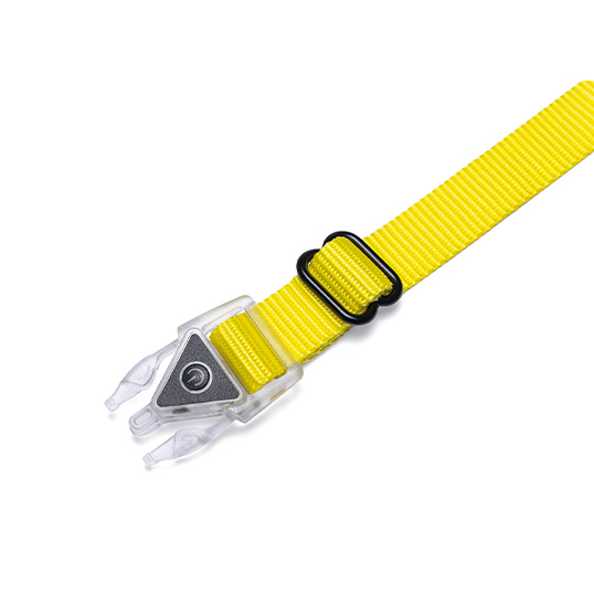 Beeztees Safety Gear Parinca Premium Hondenhalsband - Ø35-40 cm - afbeelding 2