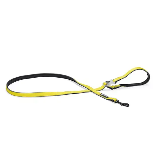 Beeztees Safety Gear Parinca Premium Hondenriem - 150x2,5x0,5 cm - afbeelding 1