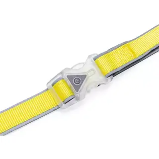 Beeztees Safety Gear Parinca Premium Hondenriem - 150x2,5x0,5 cm - afbeelding 2
