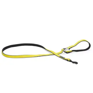 Beeztees Safety Gear Parinca Premium Hondenriem - 150x2x0,4 cm