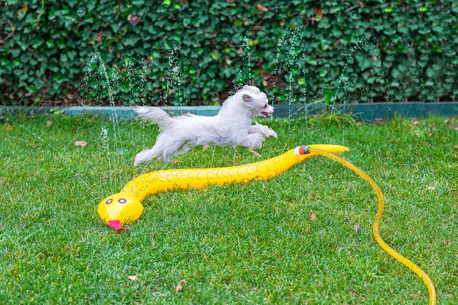 Beeztees Splashy Snake - afbeelding 1