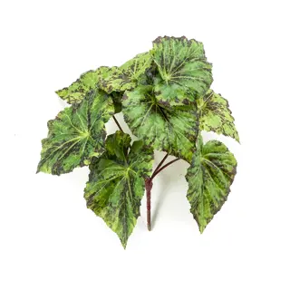 Kunst Begonia leaves bush green 25cm