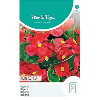 Horti Tops Begonia F1 Rode Komeet - afbeelding 1