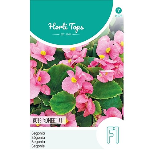 Horti Tops Begonia F1 Roze Komeet - afbeelding 1