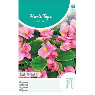 Horti Tops Begonia F1 Roze Komeet - afbeelding 1