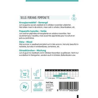 Horti Tops Bellis Perennis, Knoopjesmadelief Pomponette gemengd - afbeelding 2