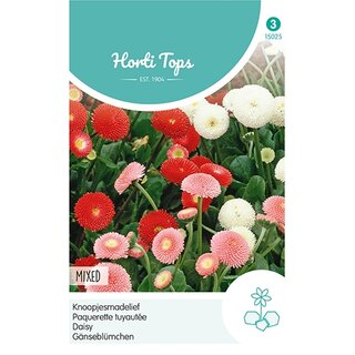 Horti Tops Bellis Perennis, Knoopjesmadelief Pomponette gemengd - afbeelding 1