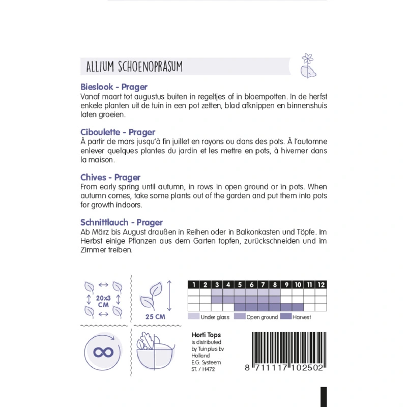 Horti Tops Bieslook Fijne - afbeelding 2