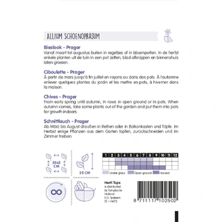 Horti Tops Bieslook Fijne - afbeelding 2
