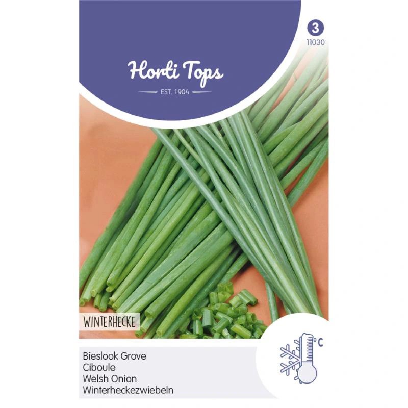 Horti Tops Bieslook Grove - afbeelding 1