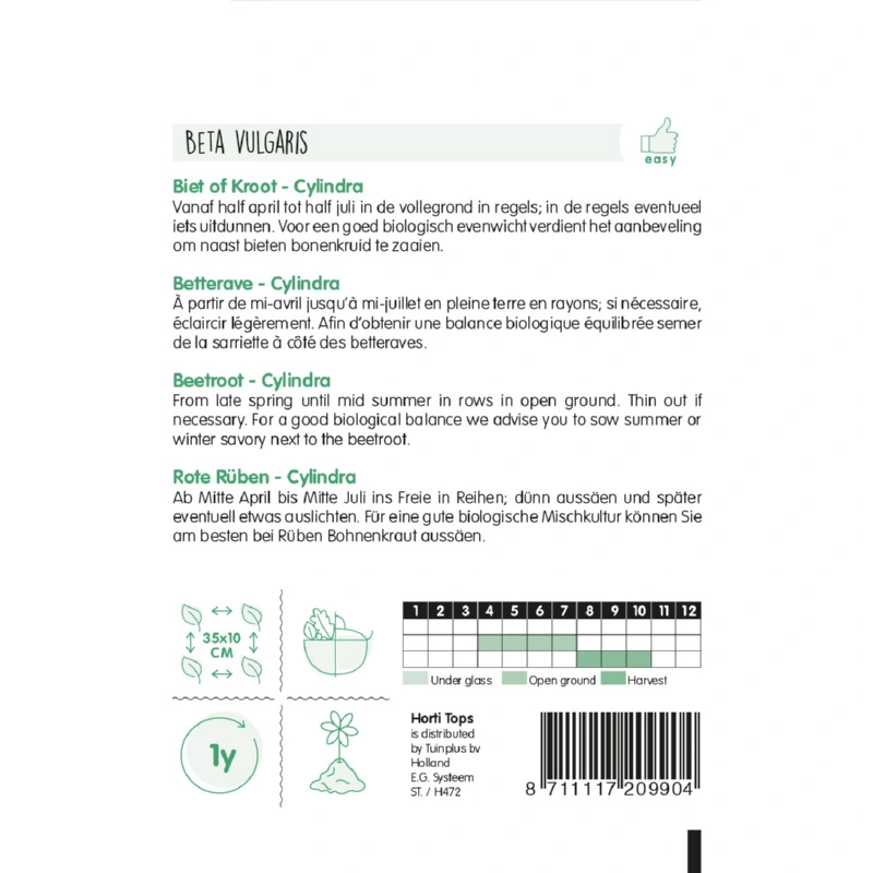 Horti Tops Bieten Cylindra - afbeelding 2