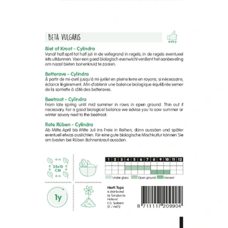 Horti Tops Bieten Cylindra - afbeelding 2