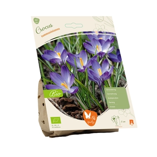 Biologische Crocus Tommasinianus 10 st.