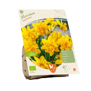 Biologische Narcissus Tête Rosette 10 st.