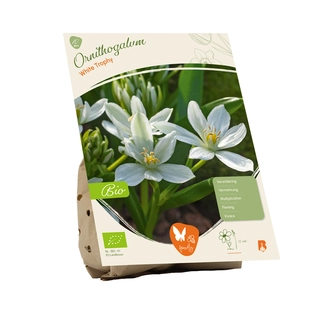 Biologische Ornithogalum White Trophy 10 st.