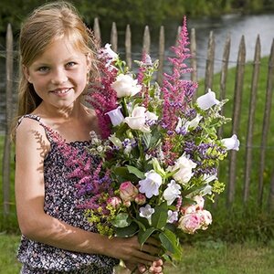 Bloemen