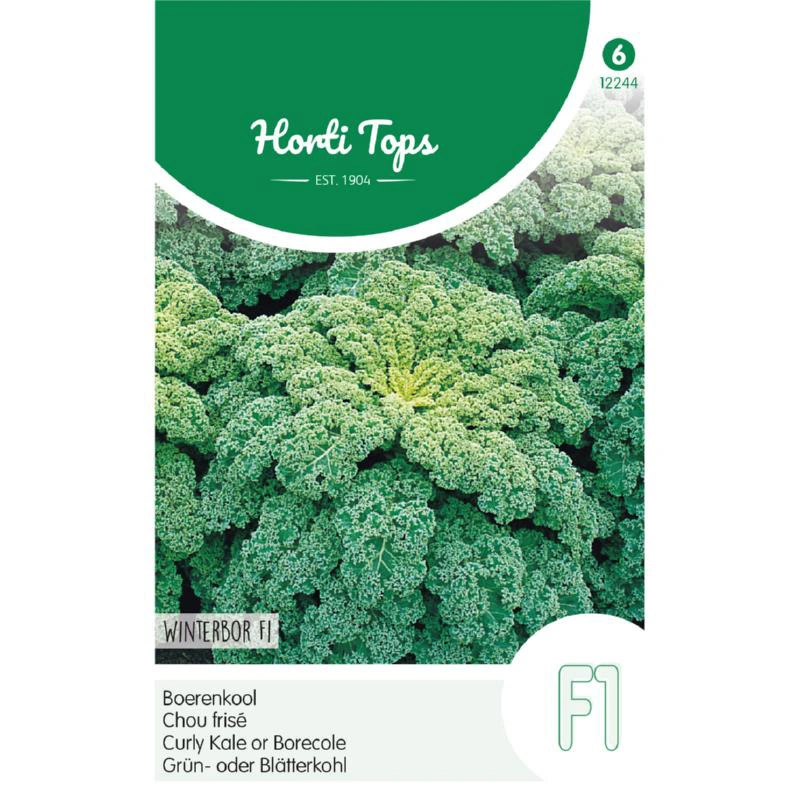 Horti Tops Boerenkool Reflex F1 - afbeelding 1