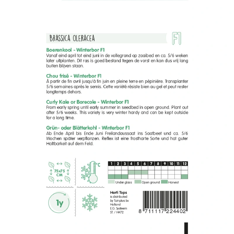 Horti Tops Boerenkool Reflex F1 - afbeelding 2