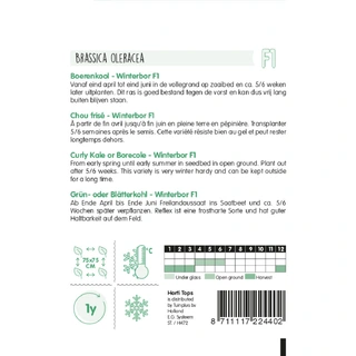 Horti Tops Boerenkool Reflex F1 - afbeelding 2
