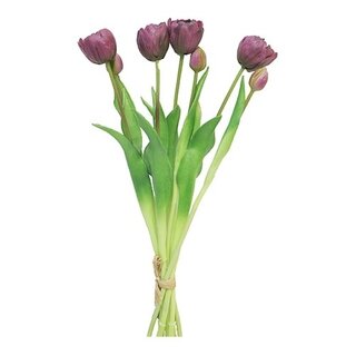 Kunst Bosje tulpen Sally - Aubergine
