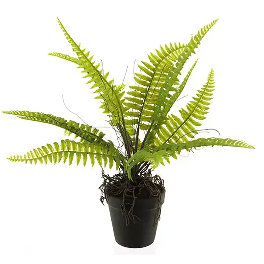Nova Nature Boston fern in pot green 40 cm