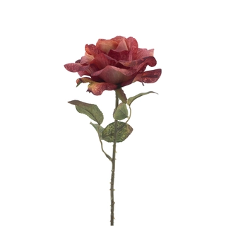 Kunstbloem Brandy Rose Monica Peach - 50 cm