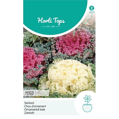 Horti Tops Brassica, Sierkool gemengd - afbeelding 1