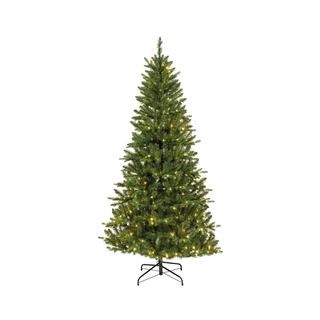 Everlands Bretton fir Micro LED - 240cm | De Boet