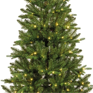 Everlands Bretton fir Micro LED - 240cm - afbeelding 2
