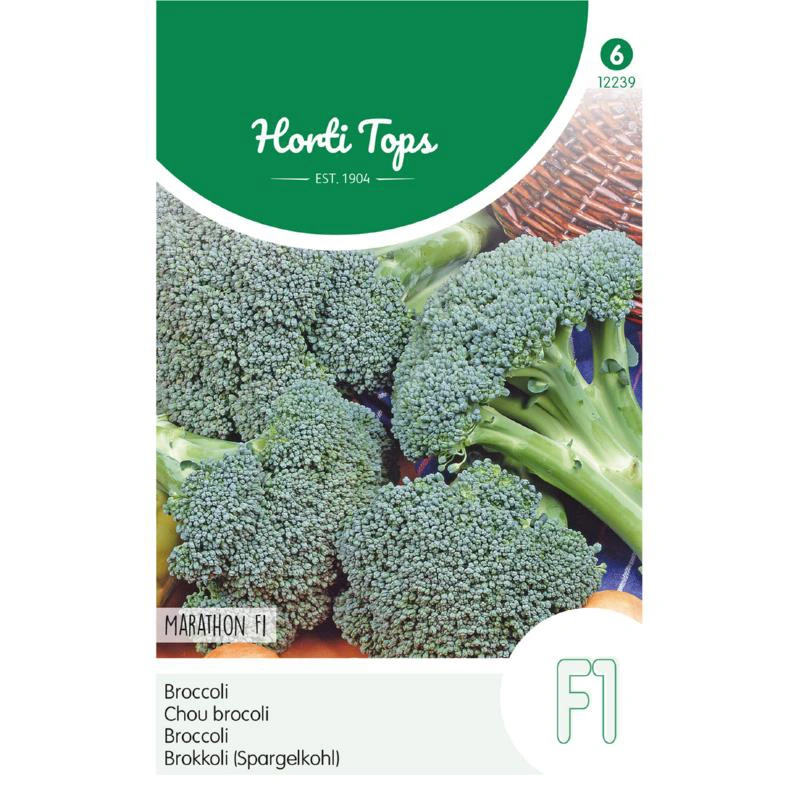 Horti Tops Broccoli Marathon F1 - afbeelding 1