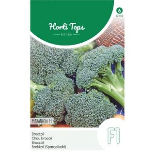 Horti Tops Broccoli Marathon F1 - afbeelding 1