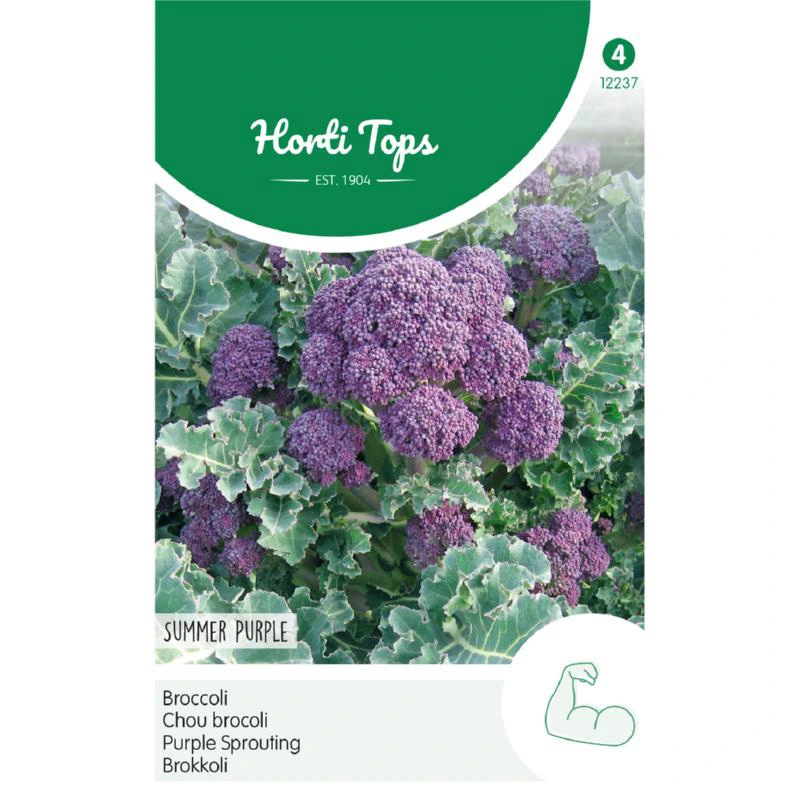 Horti Tops Broccoli Summer Purple - afbeelding 1
