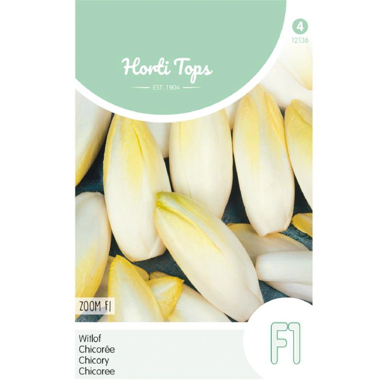 Horti Tops Brussels Witlof Zoom F1 Klasse 1 - afbeelding 1
