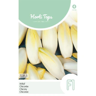 Horti Tops Brussels Witlof Zoom F1 Klasse 1 - afbeelding 1