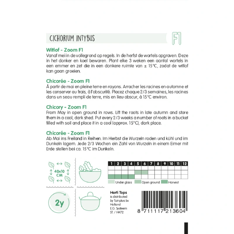 Horti Tops Brussels Witlof Zoom F1 Klasse 1 - afbeelding 2