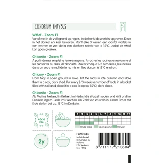 Horti Tops Brussels Witlof Zoom F1 Klasse 1 - afbeelding 2
