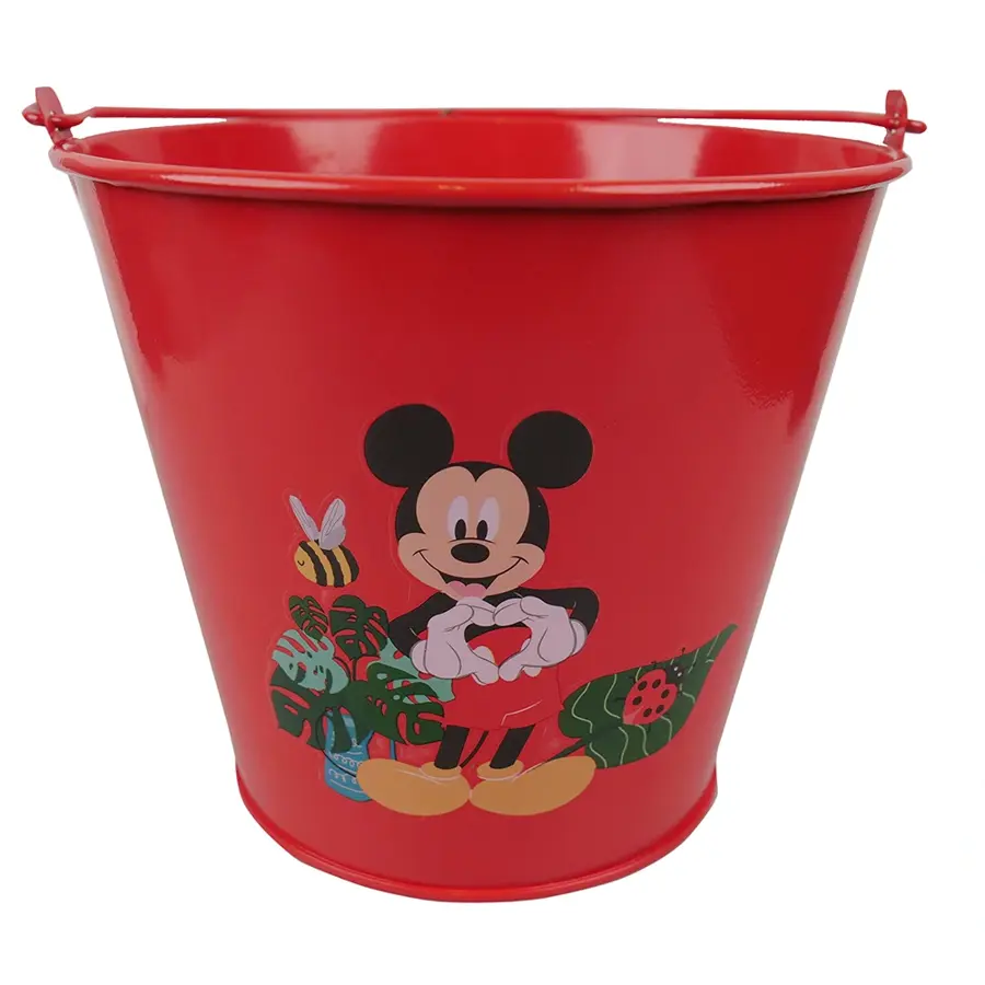 Disney Emmer Mickey